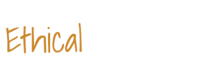 No Lemur - Ethical Lemur Logo